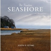The Timeless Seashore